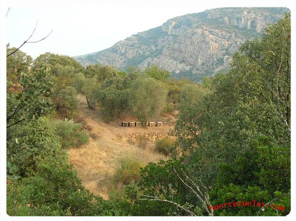 Colmenas en el Castañar